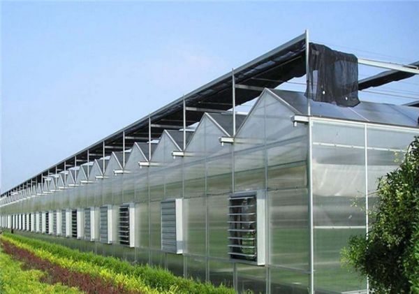 山東溫室大棚廠(chǎng)家