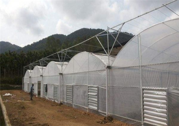 山東溫室大棚廠家